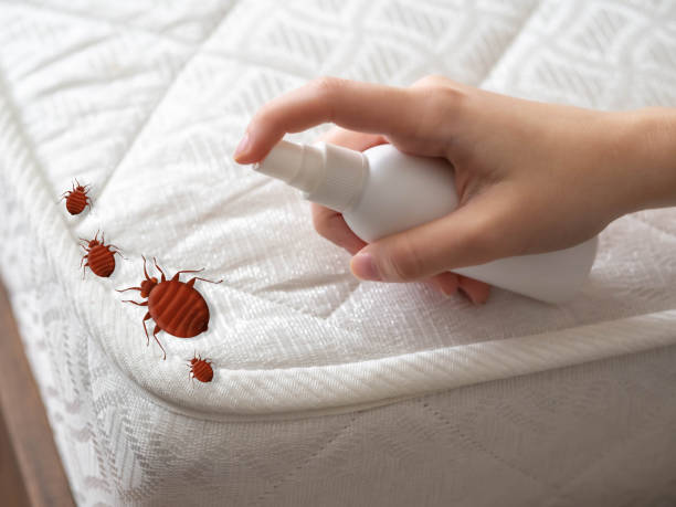 Best Bed Bug Extermination  in Morrisville, PA