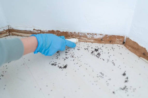 Best Pest Removal Services  in Morrisville, PA